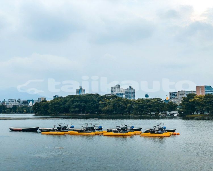 Big with watermark image