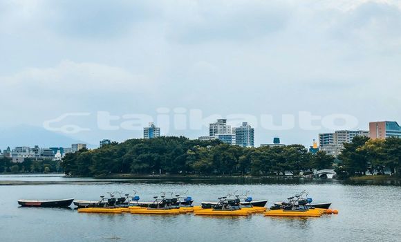 Medium with watermark image