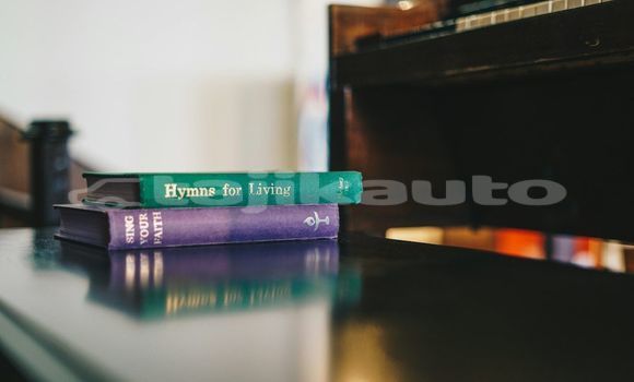 Medium with watermark image