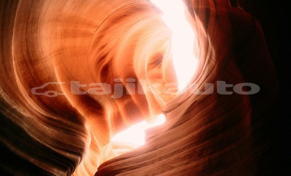 Medium with watermark image