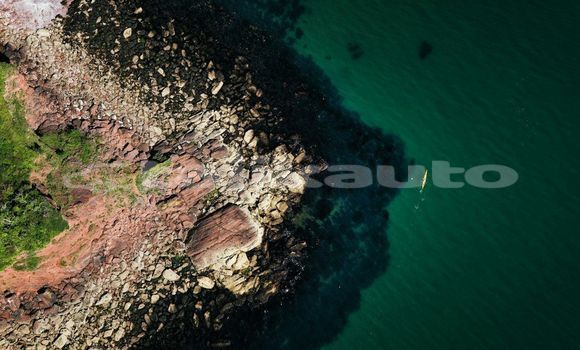 Medium with watermark image