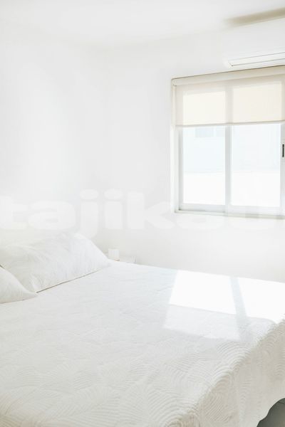 Big with watermark image