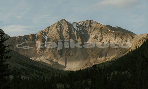 Medium with watermark image