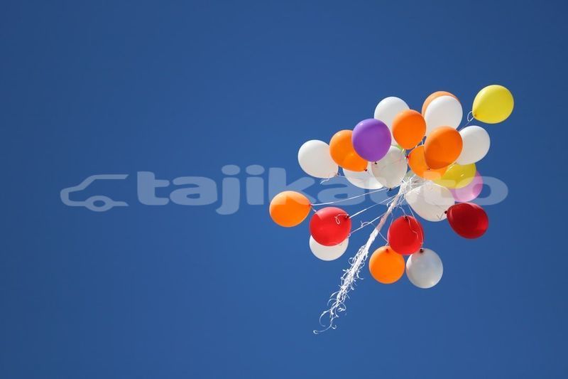 Big with watermark image