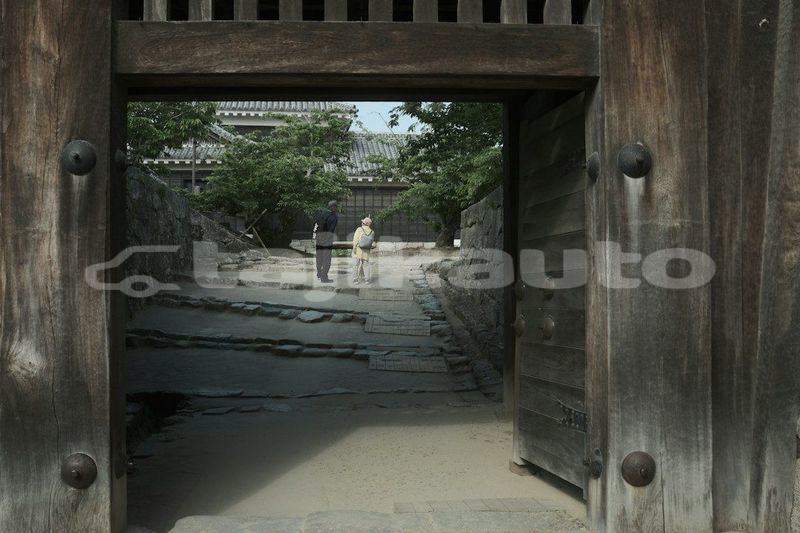 Big with watermark image