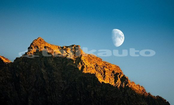 Medium with watermark image