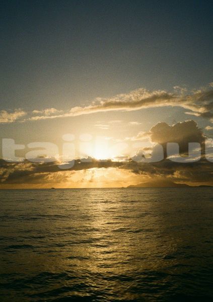 Big with watermark image