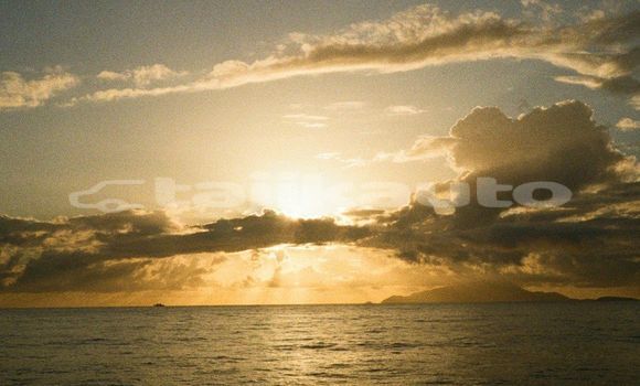 Medium with watermark image