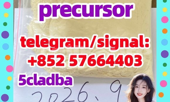 Medium with watermark 52