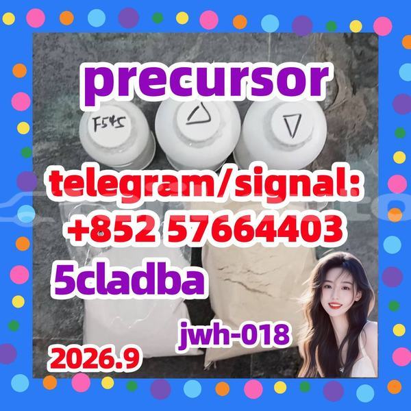 Big with watermark 54