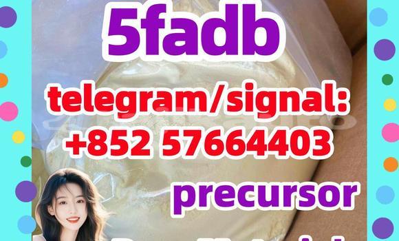 Medium with watermark 510
