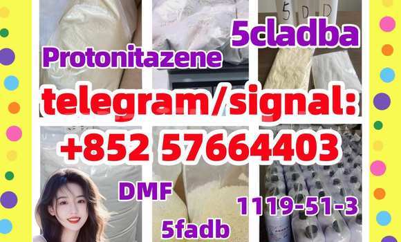 Medium with watermark 515