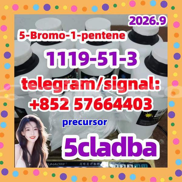 Big with watermark 56