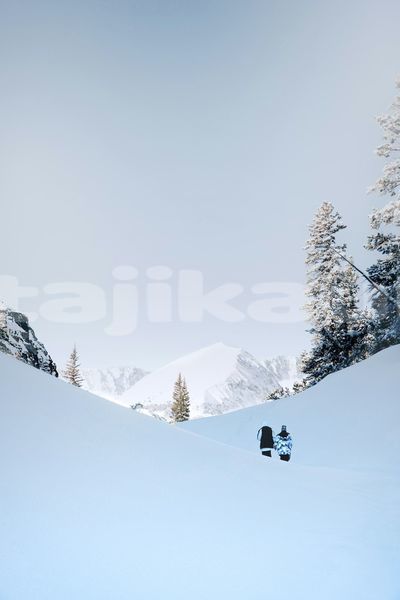 Big with watermark image