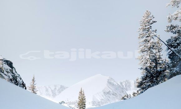 Medium with watermark image