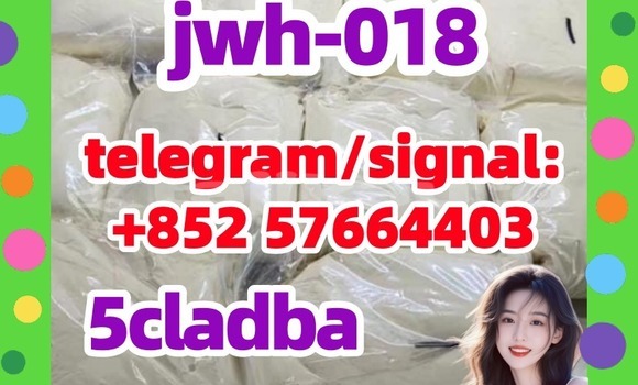 Medium with watermark 511