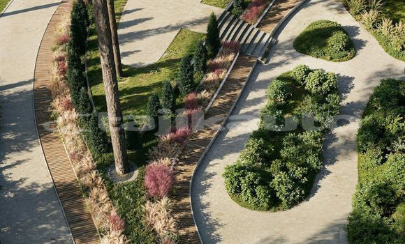 Medium with watermark image