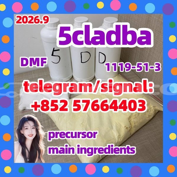 Big with watermark 512