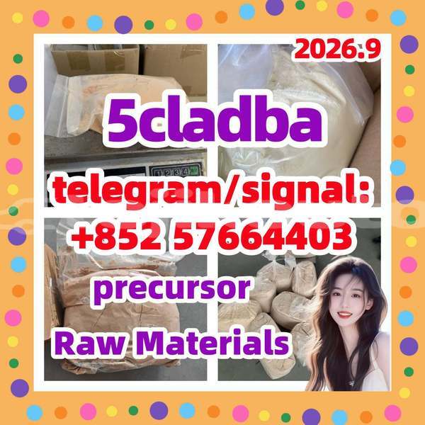 Big with watermark 513