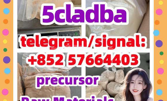 Medium with watermark 513