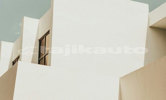 Medium with watermark image