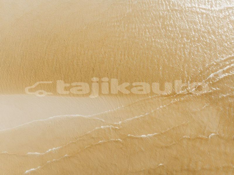Big with watermark image