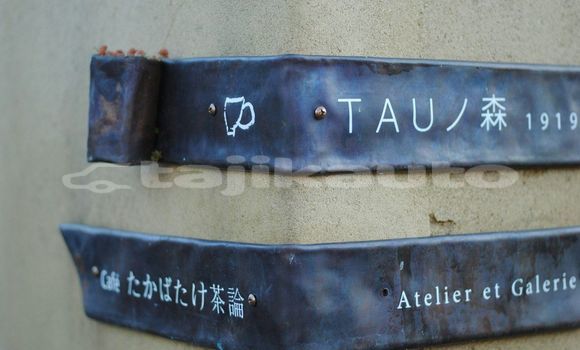 Medium with watermark image