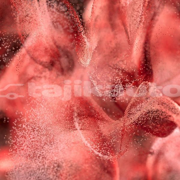 Big with watermark image