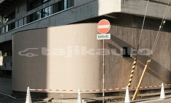 Medium with watermark image