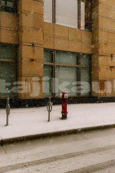 Big with watermark image