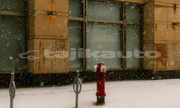 Medium with watermark image