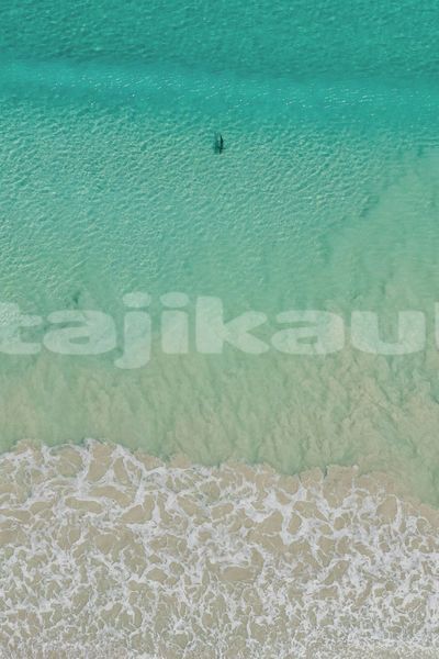 Big with watermark image