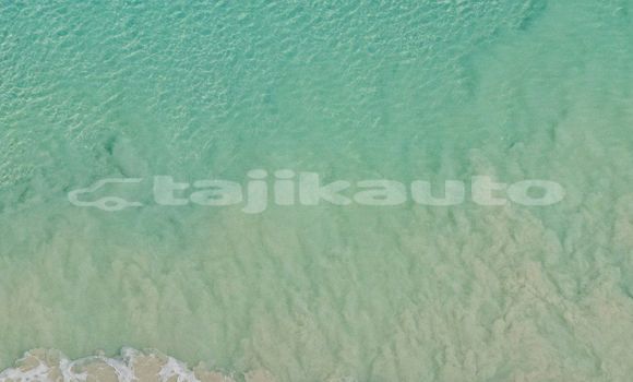Medium with watermark image