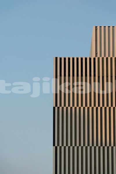 Big with watermark image