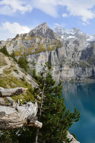 Big with watermark image