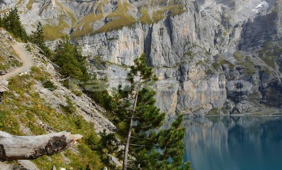 Medium with watermark image