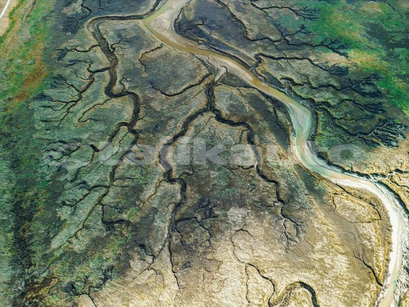Big with watermark image