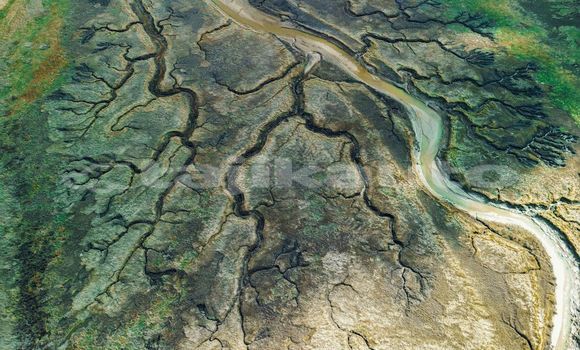 Medium with watermark image