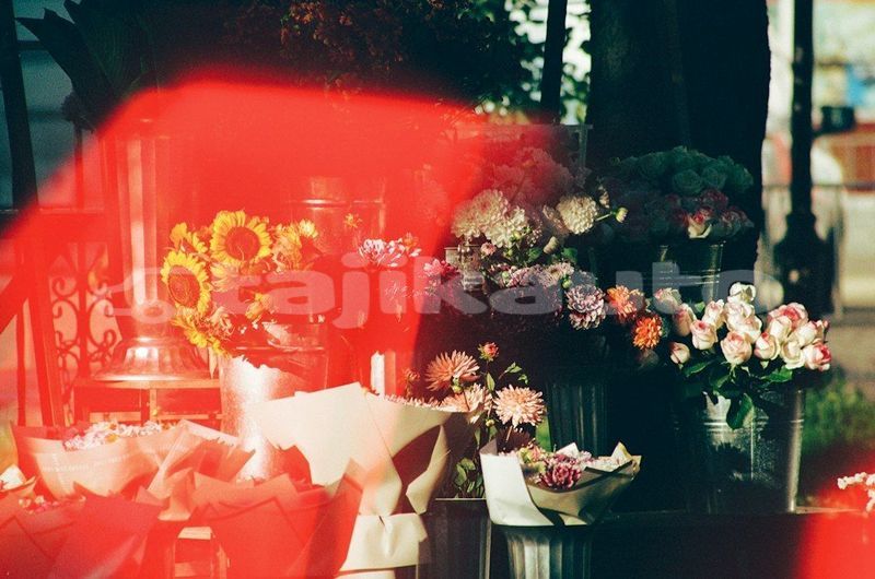 Big with watermark image