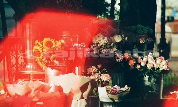 Medium with watermark image