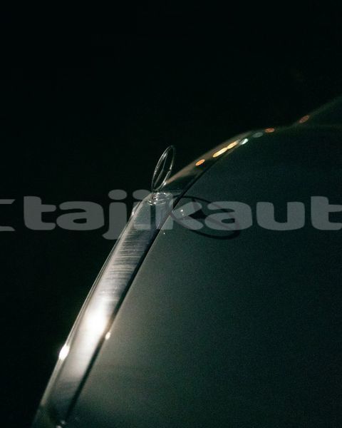 Big with watermark image