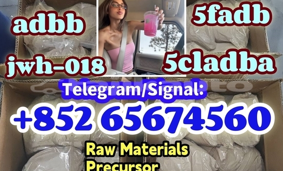 Medium with watermark photo 2026 03 04 10 21 30 %e5%89%af%e6%9c%ac