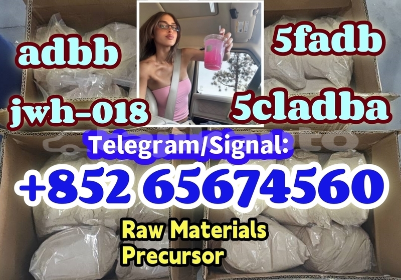 Big with watermark photo 2026 03 04 10 21 30 %e5%89%af%e6%9c%ac