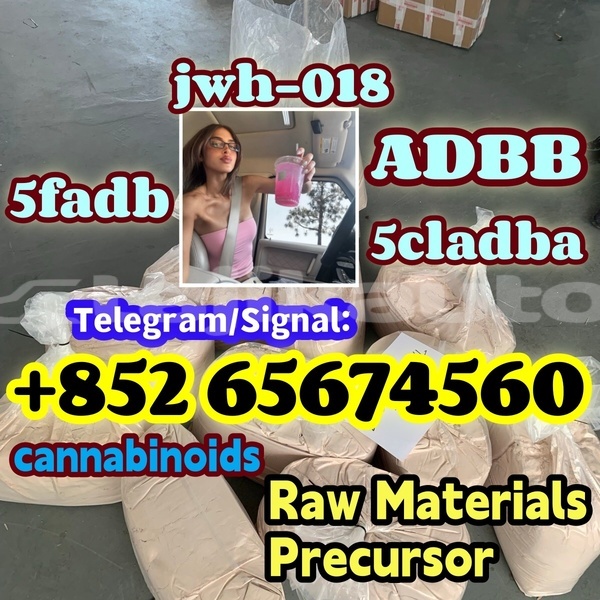 Big with watermark xzvxcfbnfgnghmghm