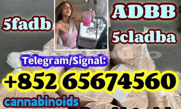 Medium with watermark xzvxcfbnfgnghmghm