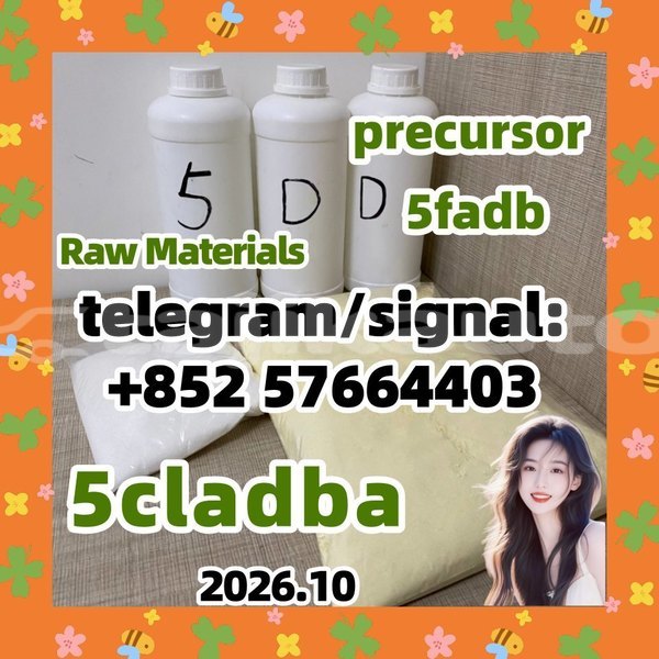 Big with watermark 55