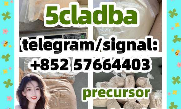 Medium with watermark 53