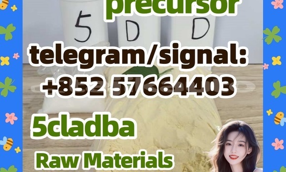 Medium with watermark 51