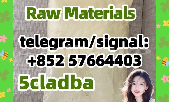 Medium with watermark 52