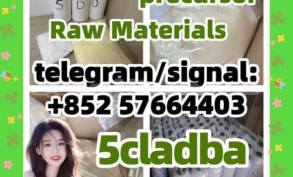 Medium with watermark 59